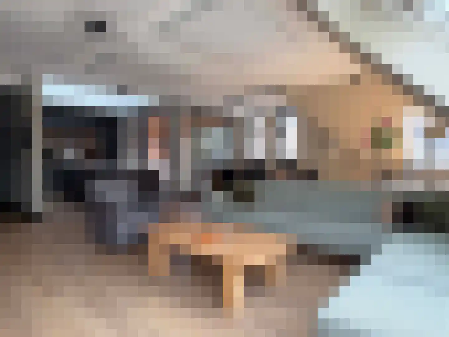 Wettringerlaan 17 Dalen thumbnail 5