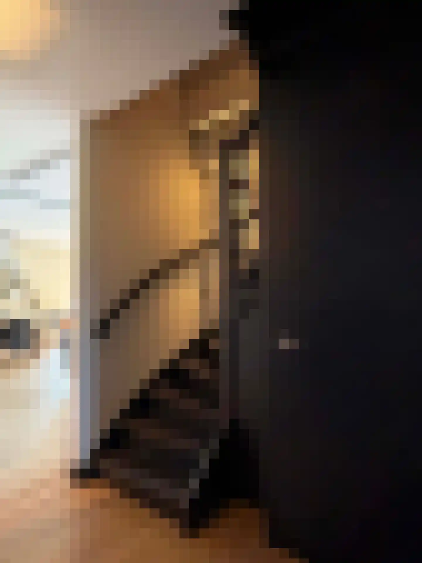 Wettringerlaan 17 Dalen thumbnail 50