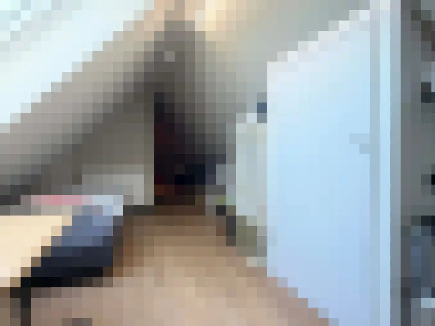 Wettringerlaan 17 Dalen thumbnail 51
