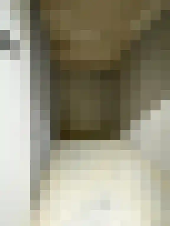 Wettringerlaan 17 Dalen thumbnail 56