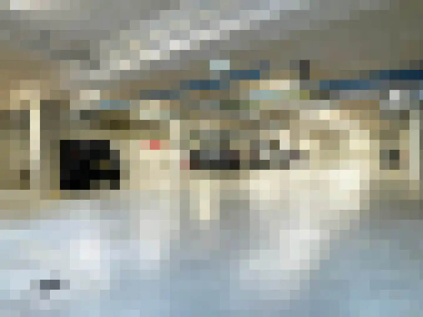 Wettringerlaan 17 Dalen thumbnail 57