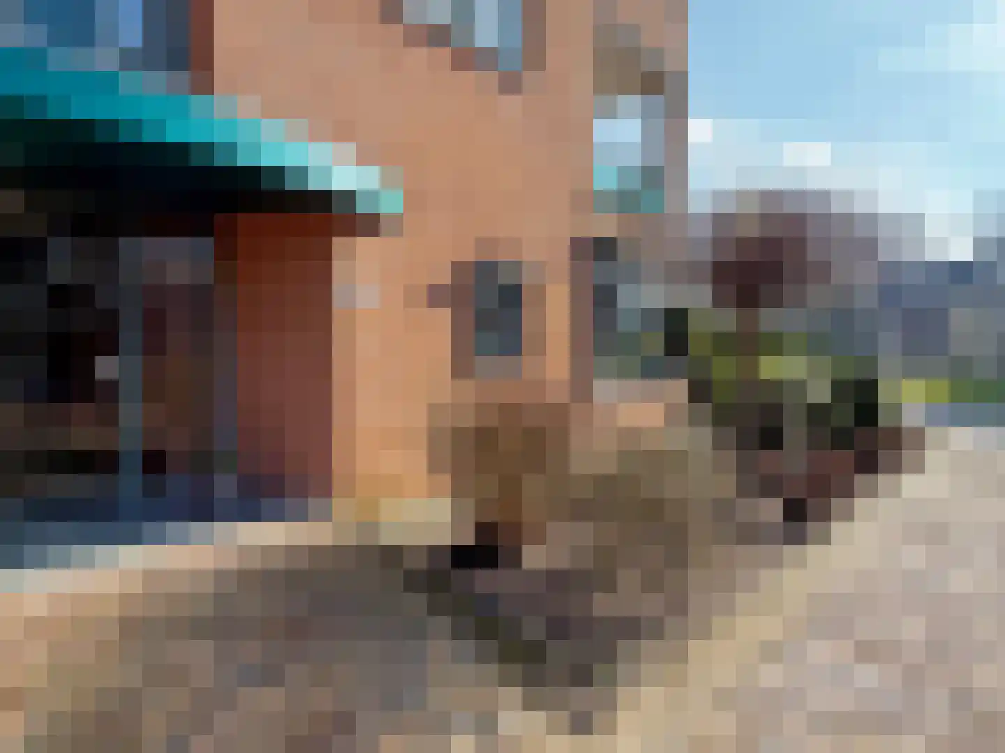 Wettringerlaan 4 Dalen thumbnail 12