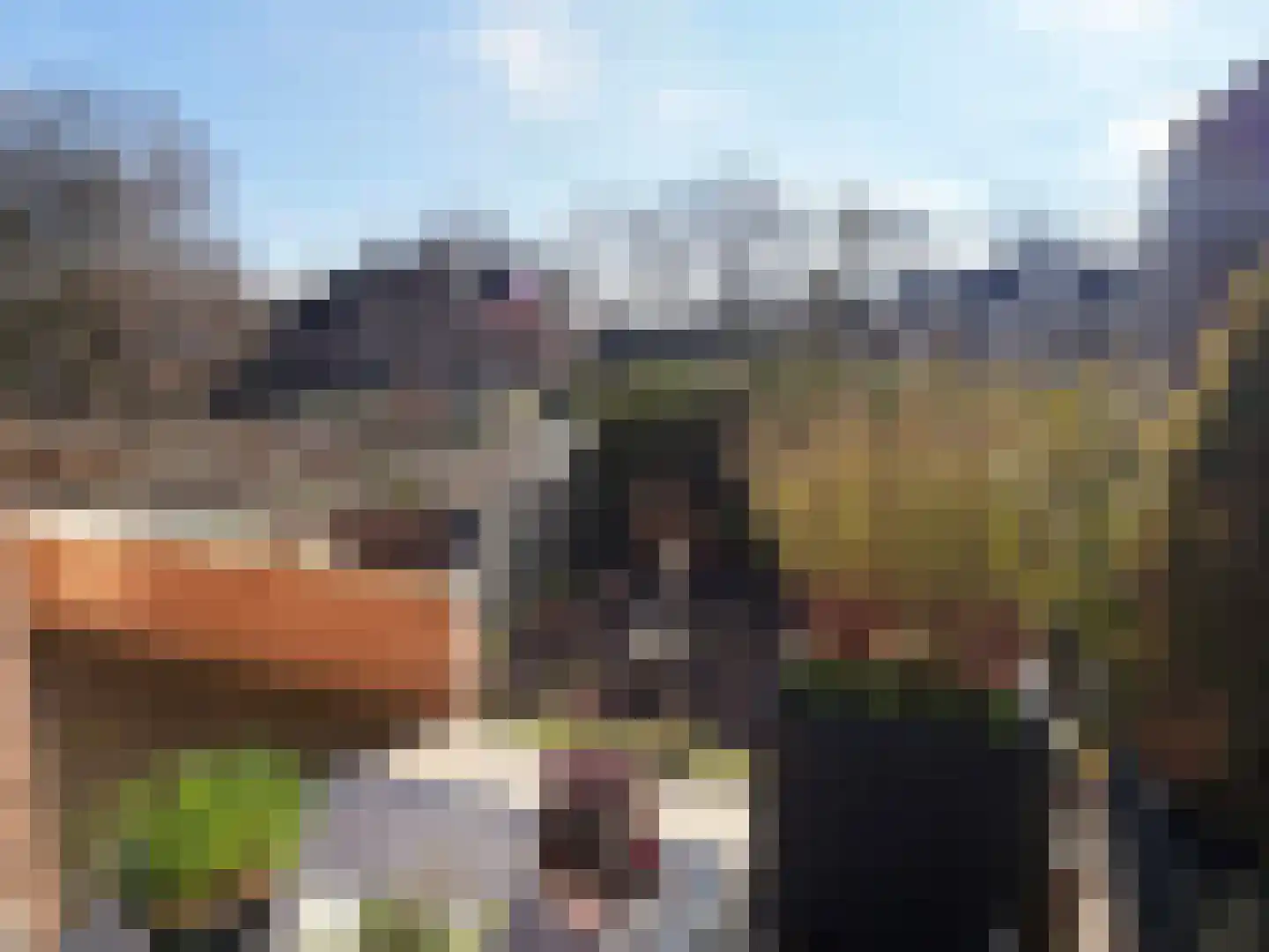 Wettringerlaan 4 Dalen thumbnail 23