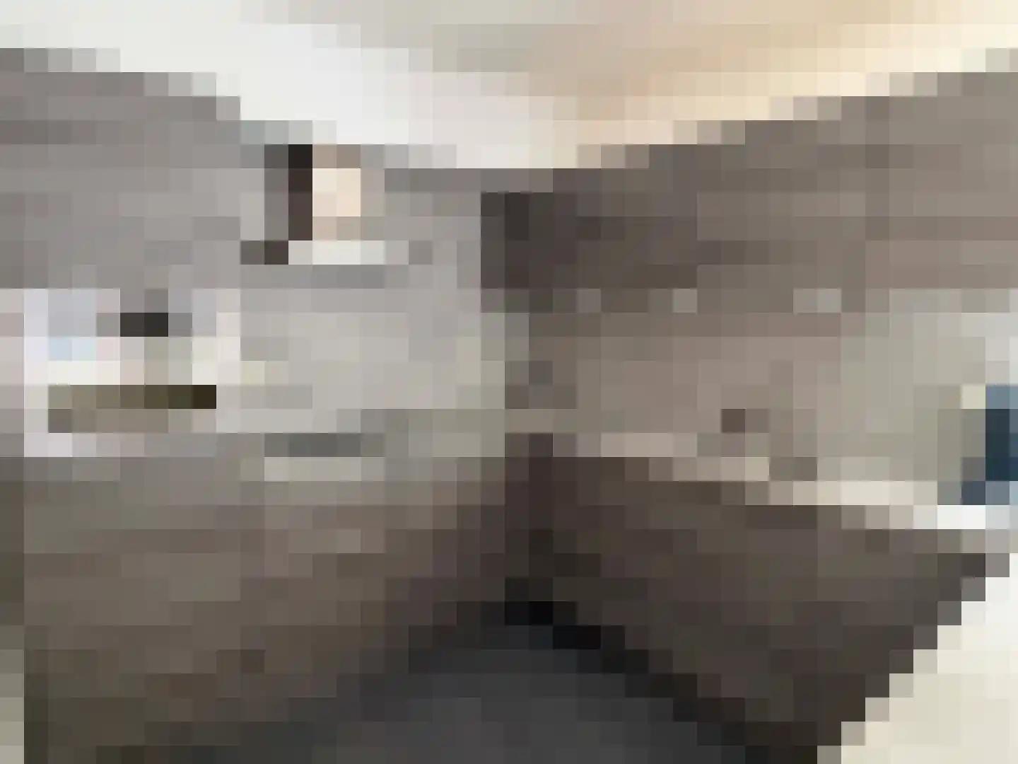 Wettringerlaan 4 Dalen thumbnail 24