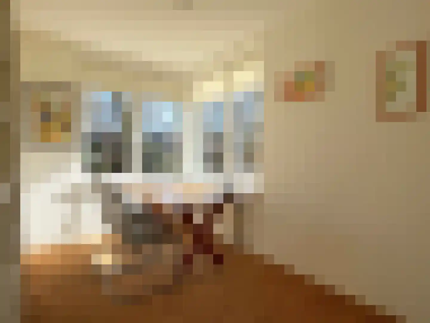 Wettringerlaan 4 Dalen thumbnail 28