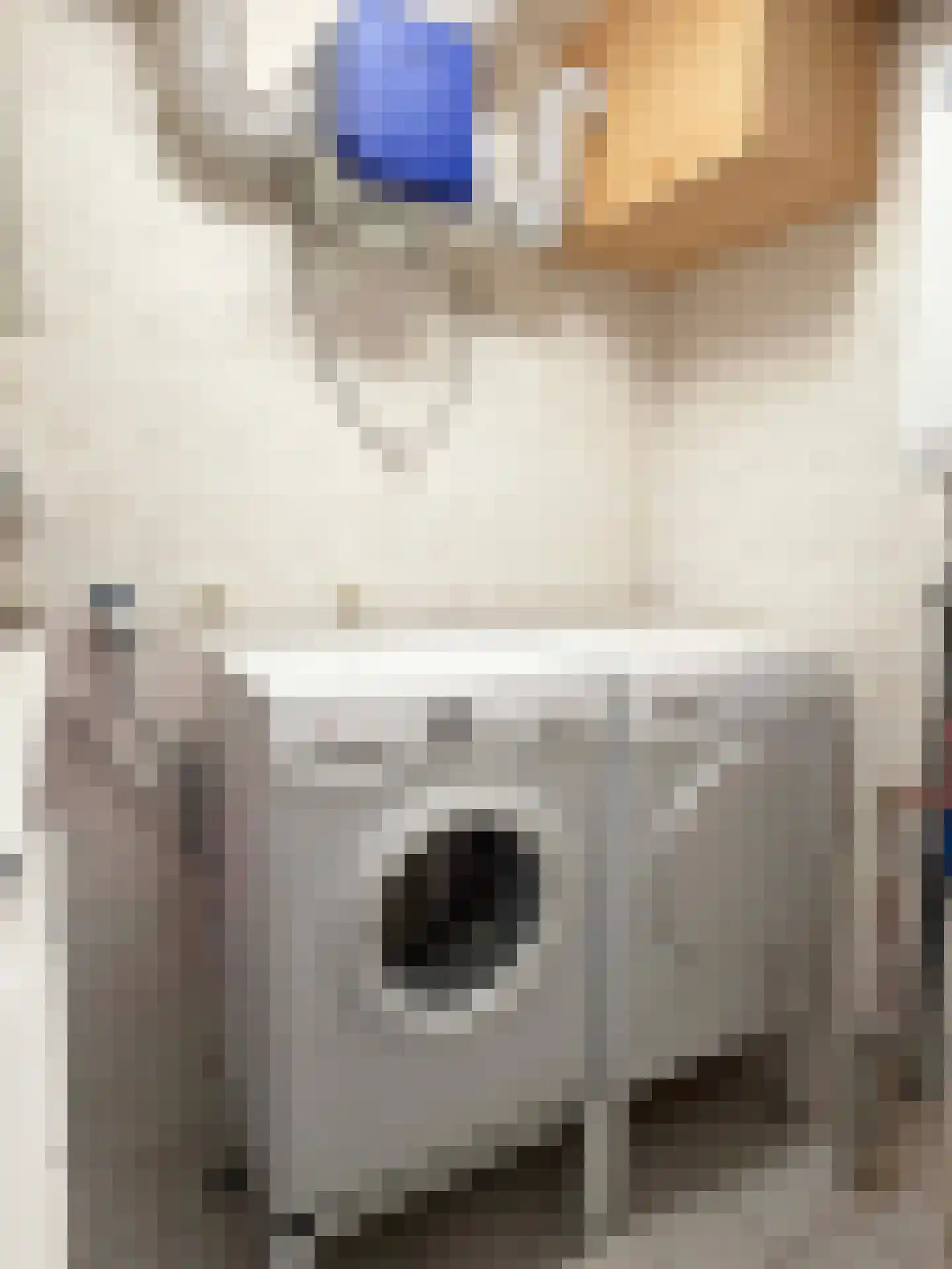 Wettringerlaan 4 Dalen thumbnail 31