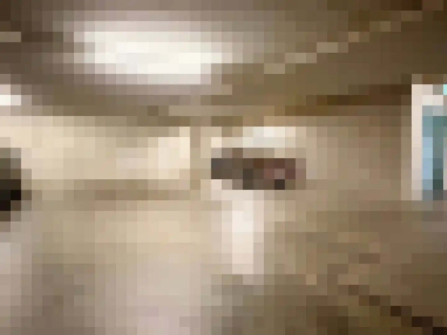 Wettringerlaan 4 Dalen thumbnail 39