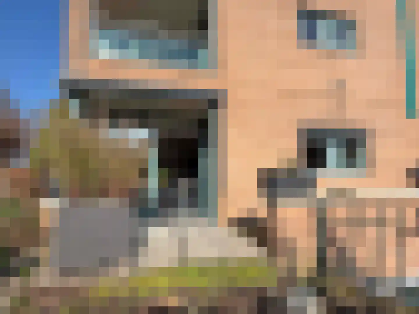 Wettringerlaan 4 Dalen thumbnail 5