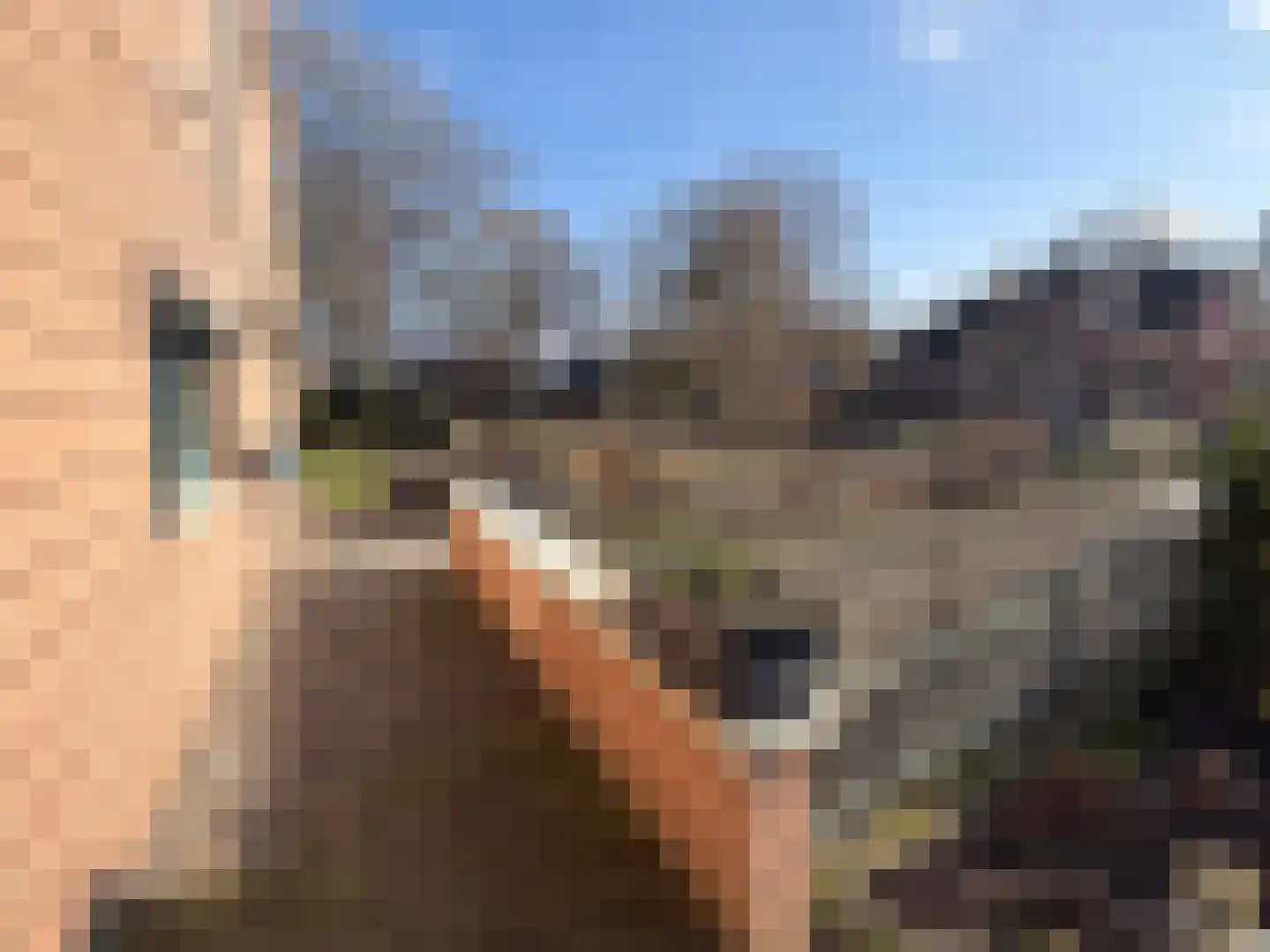 Wettringerlaan 4 Dalen thumbnail 7