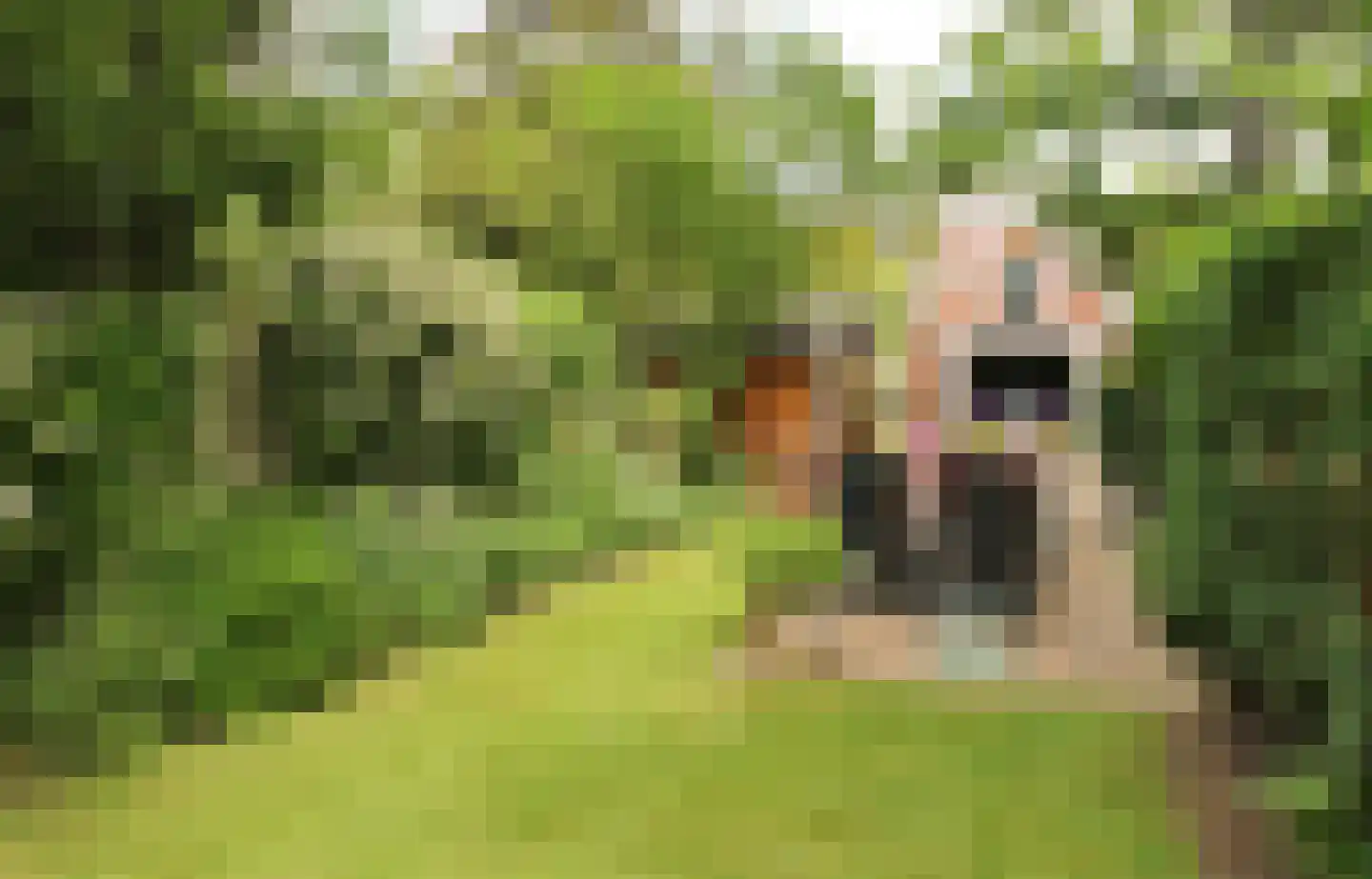 Weurden 38 a Winterswijk thumbnail 26