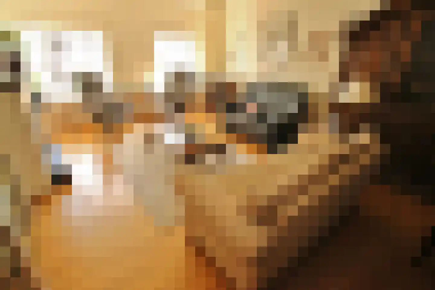 Weurden 38 a Winterswijk thumbnail 6