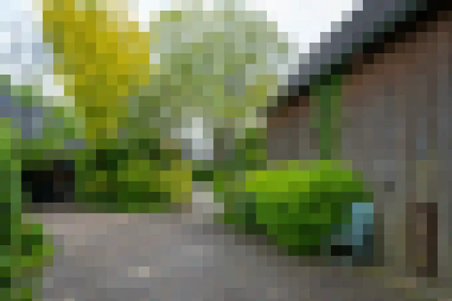 Weurden 39 I Winterswijk thumbnail 38