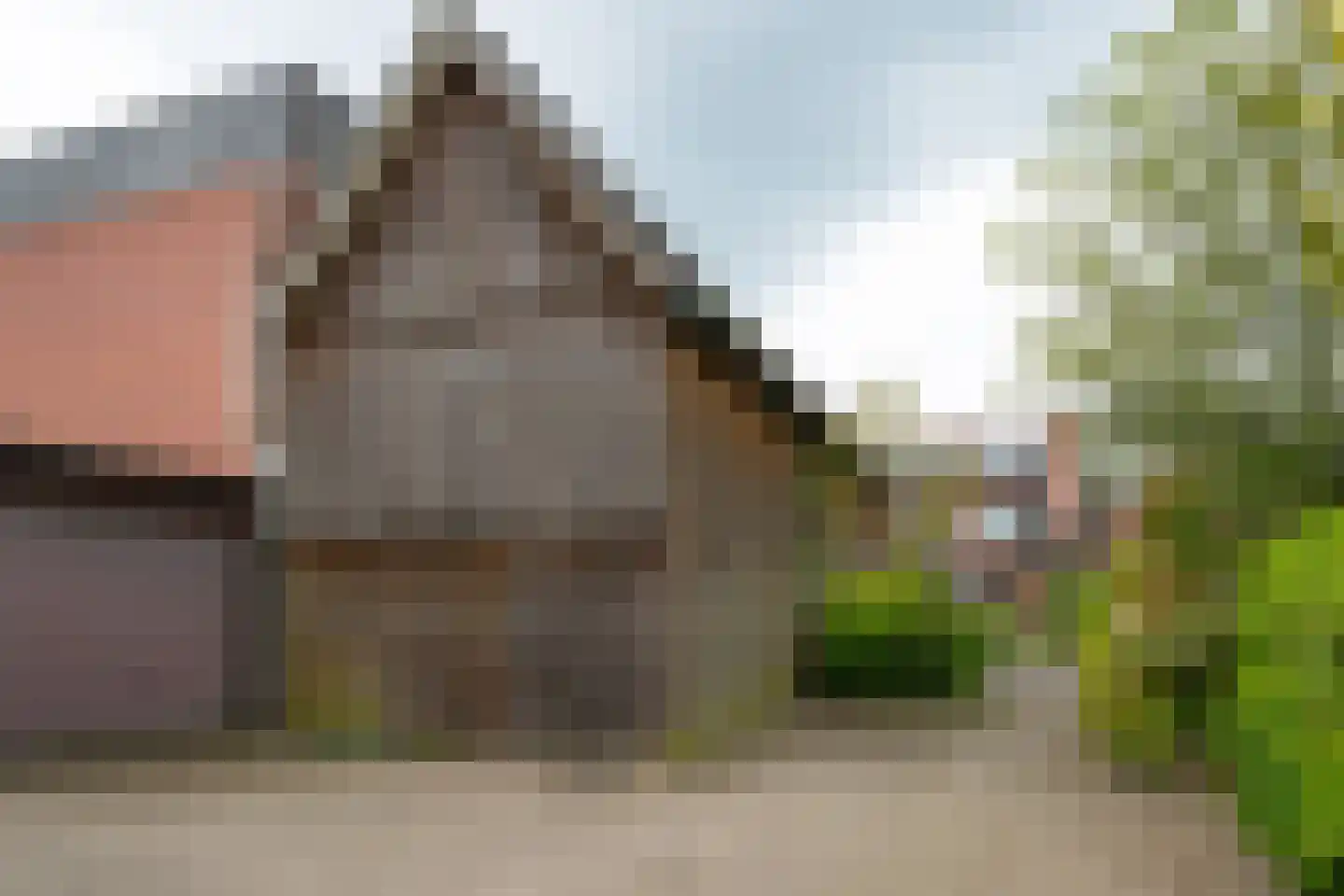 Weurden 39 I Winterswijk thumbnail 45