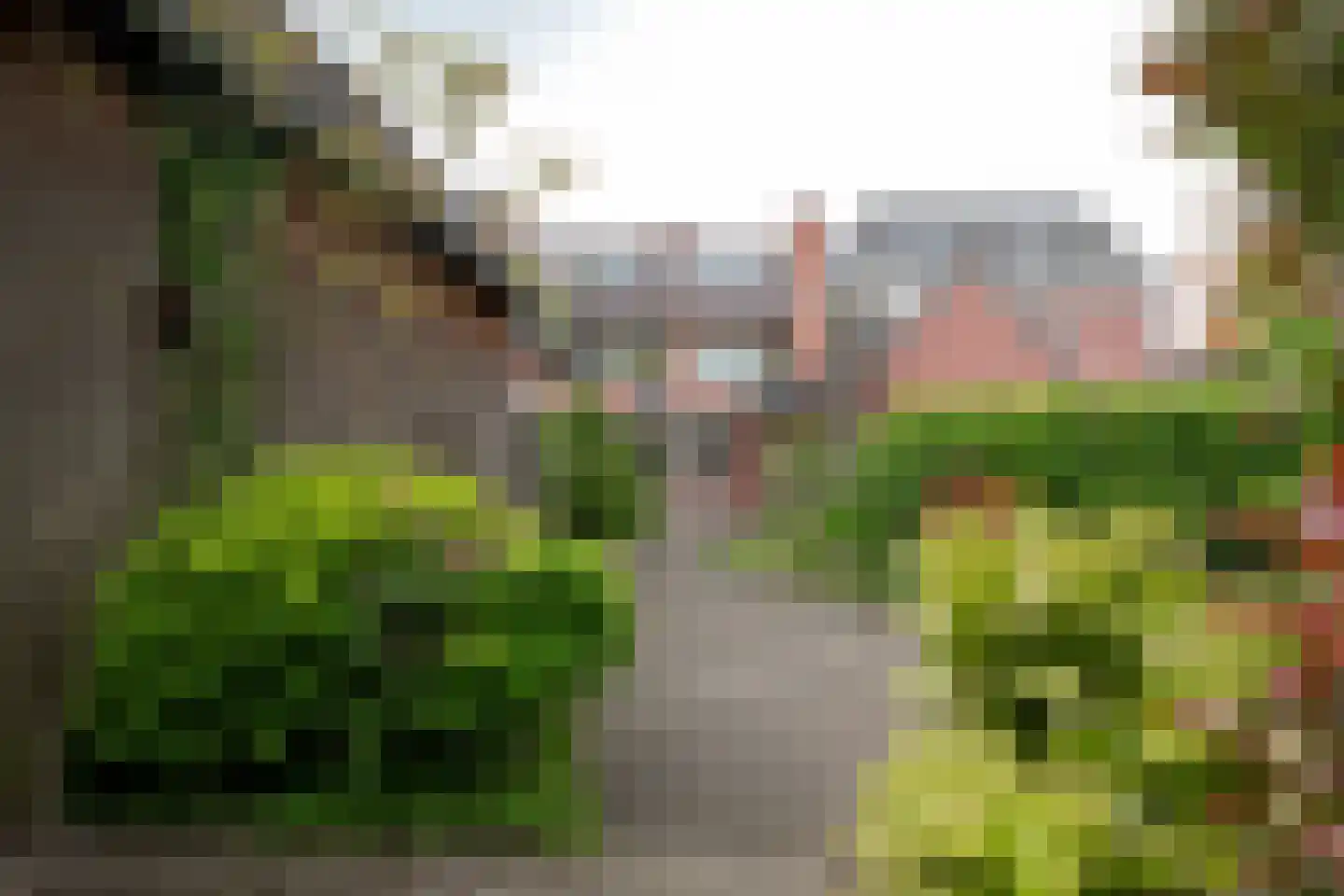 Weurden 39 I Winterswijk thumbnail 46