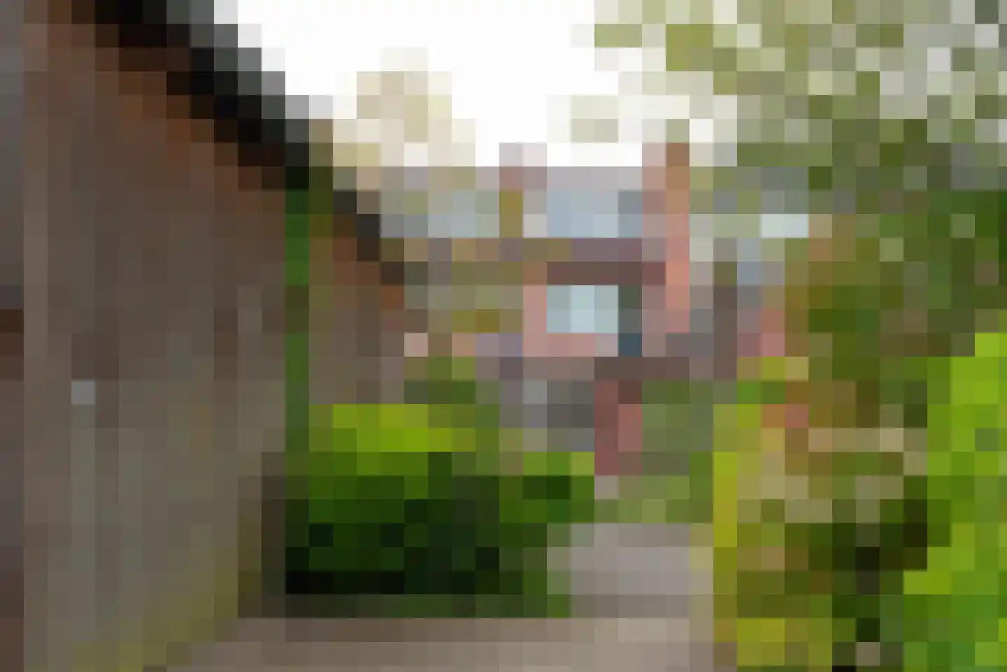 Weurden 39 I Winterswijk thumbnail 49