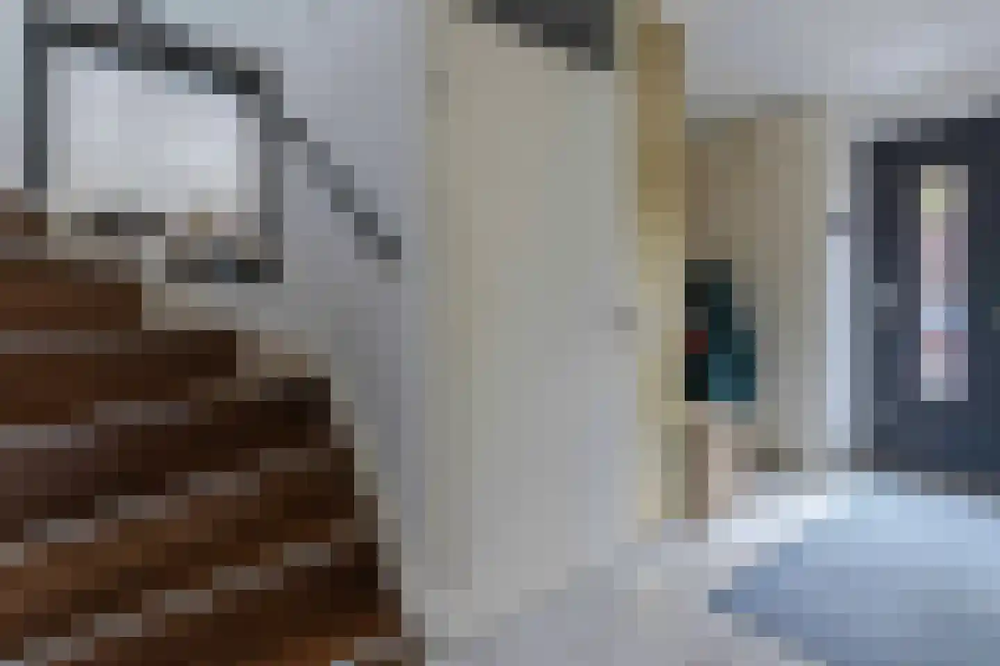 Weustenraedtstraat 91 Hoensbroek thumbnail 17