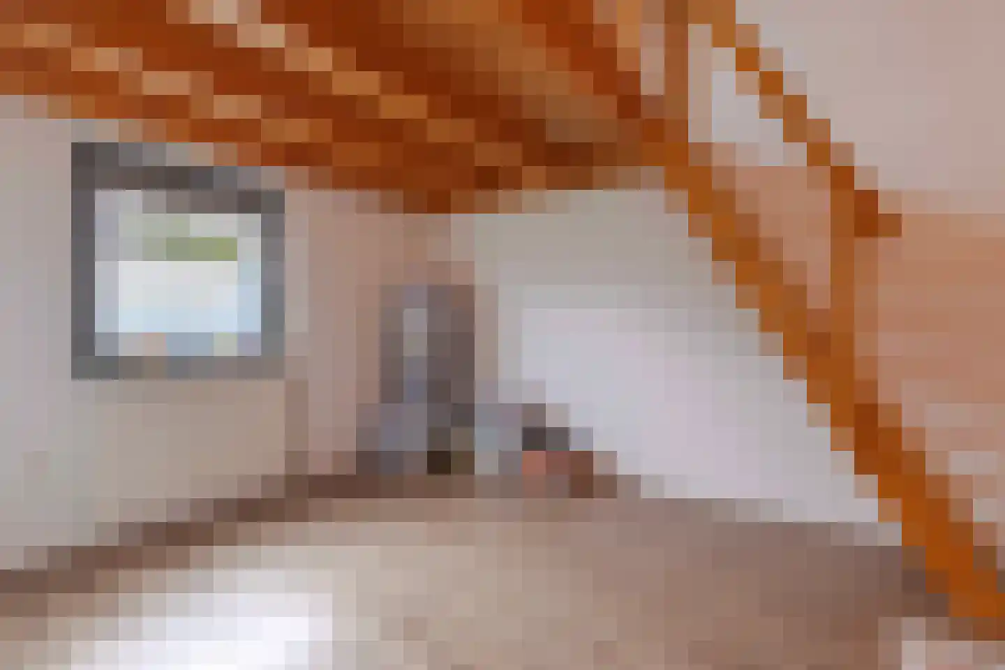 Weustenraedtstraat 91 Hoensbroek thumbnail 23