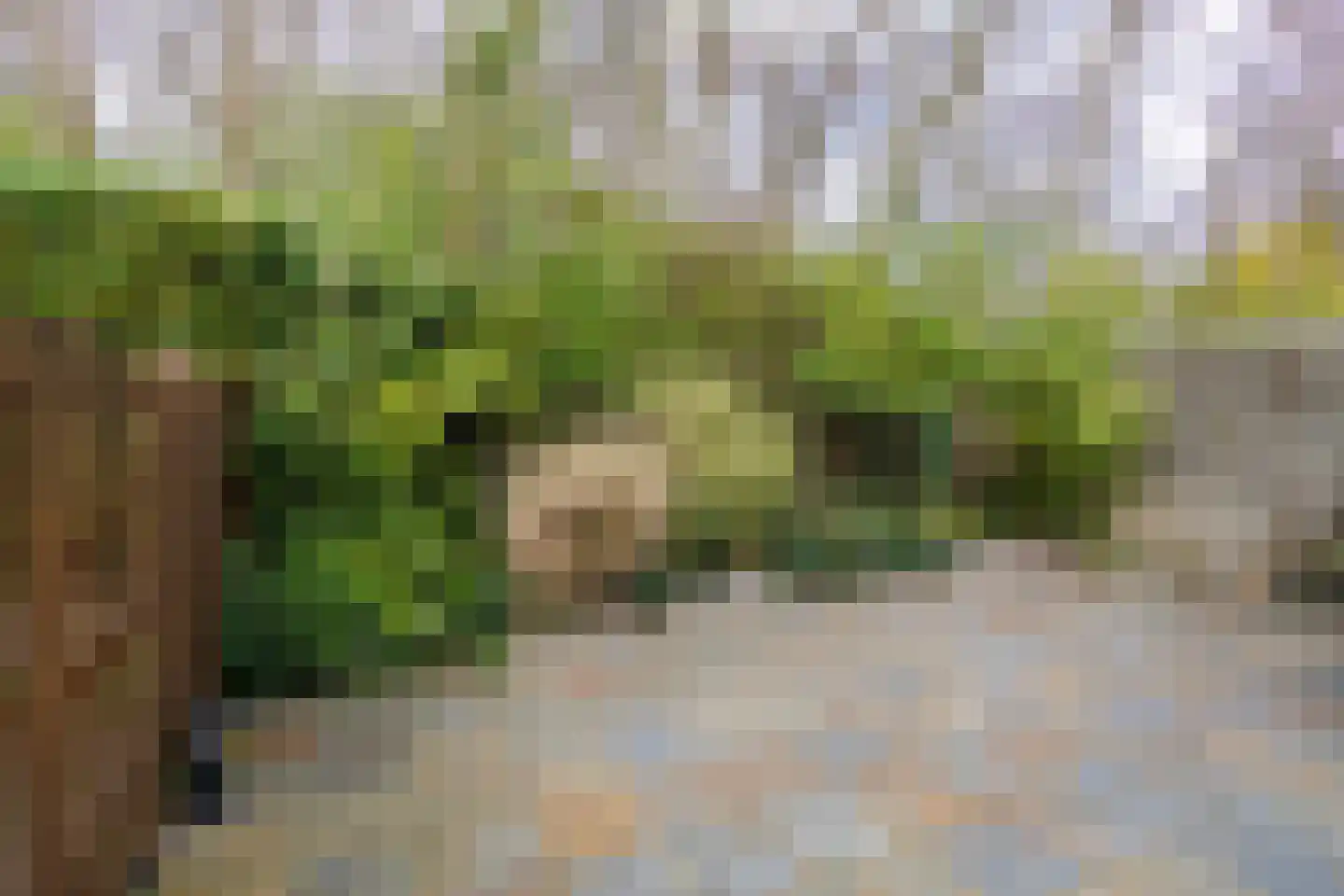 Weustenraedtstraat 91 Hoensbroek thumbnail 33