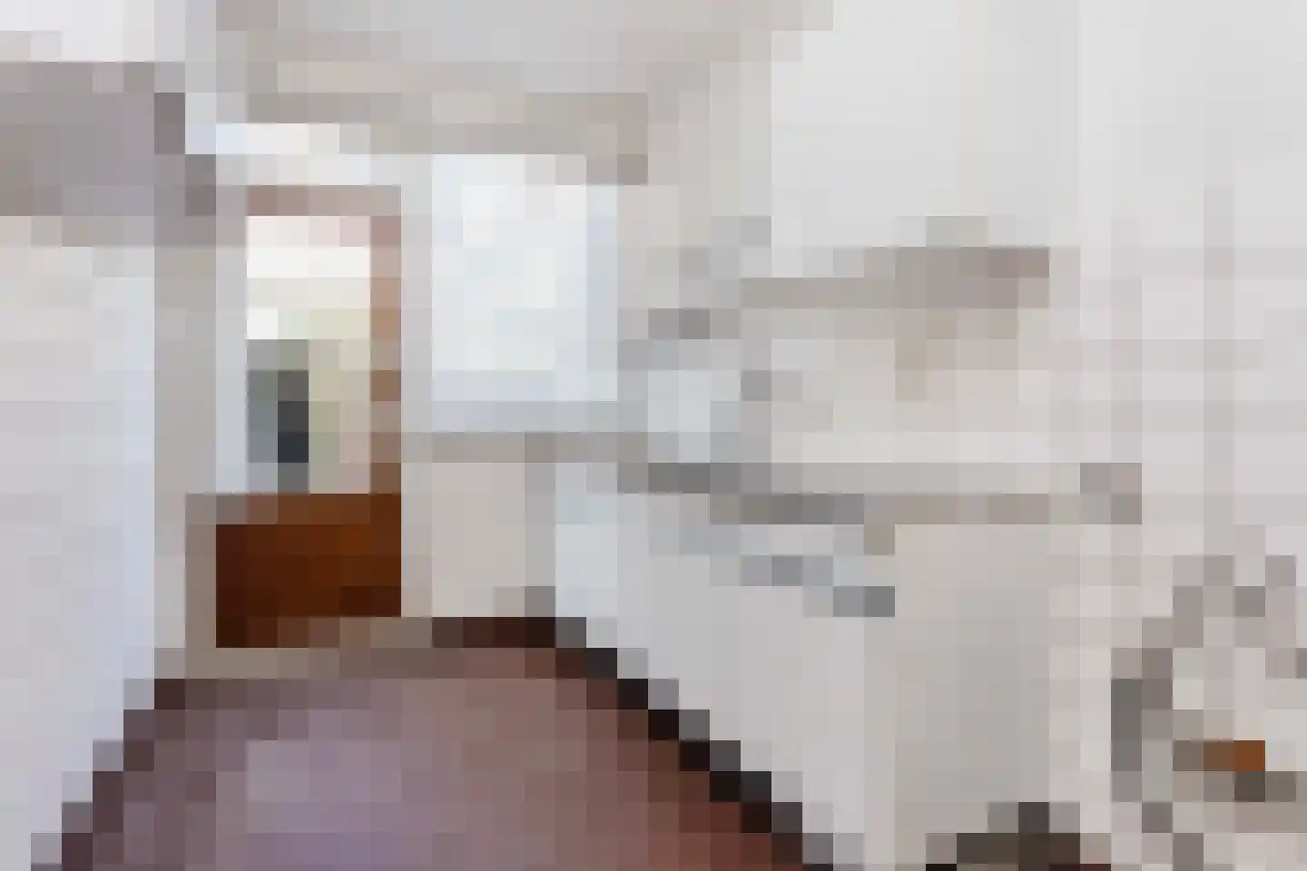 Wevelaan 45 Utrecht thumbnail 6