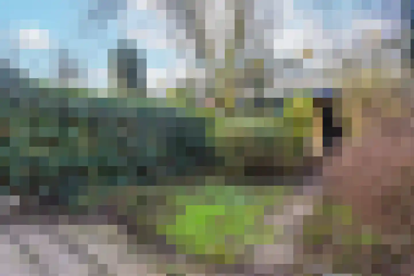 Wevelaan 45 Utrecht thumbnail 8