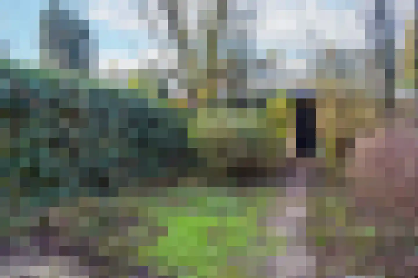 Wevelaan 45 Utrecht thumbnail 9