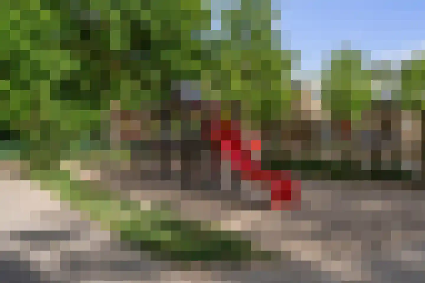 Wevelaan 53 Utrecht thumbnail 36