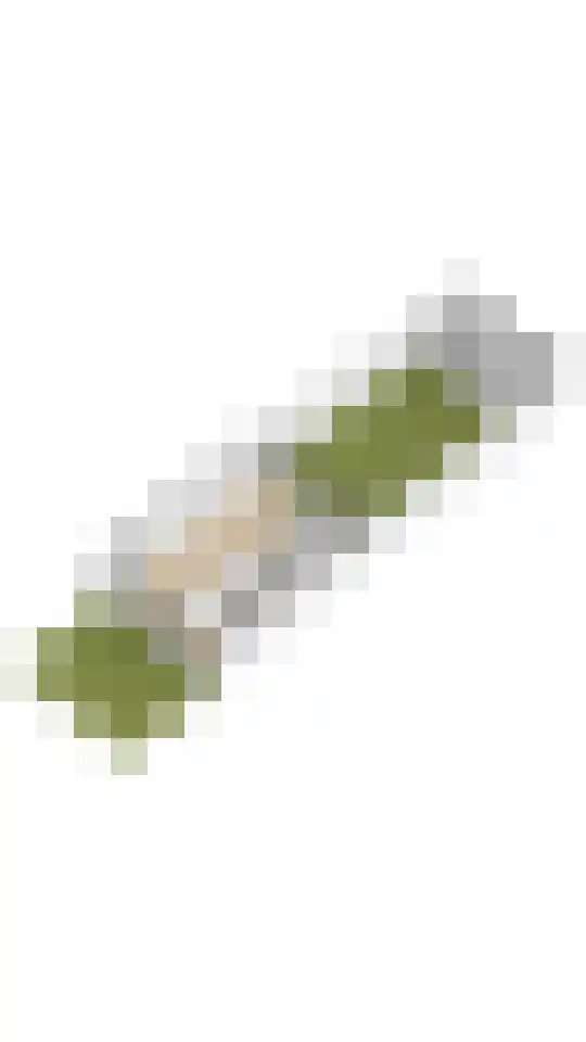 Wevelaan 53 Utrecht thumbnail 49