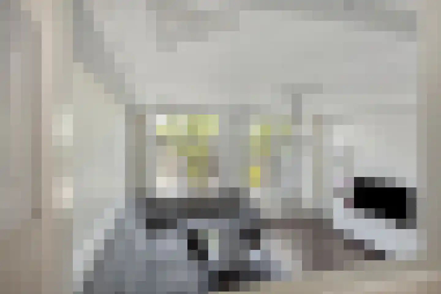 Wevelgemstraat 24 Amsterdam thumbnail 4