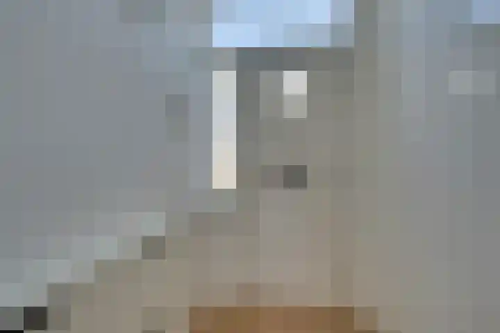 Wevelgemstraat 35 Amsterdam thumbnail 43
