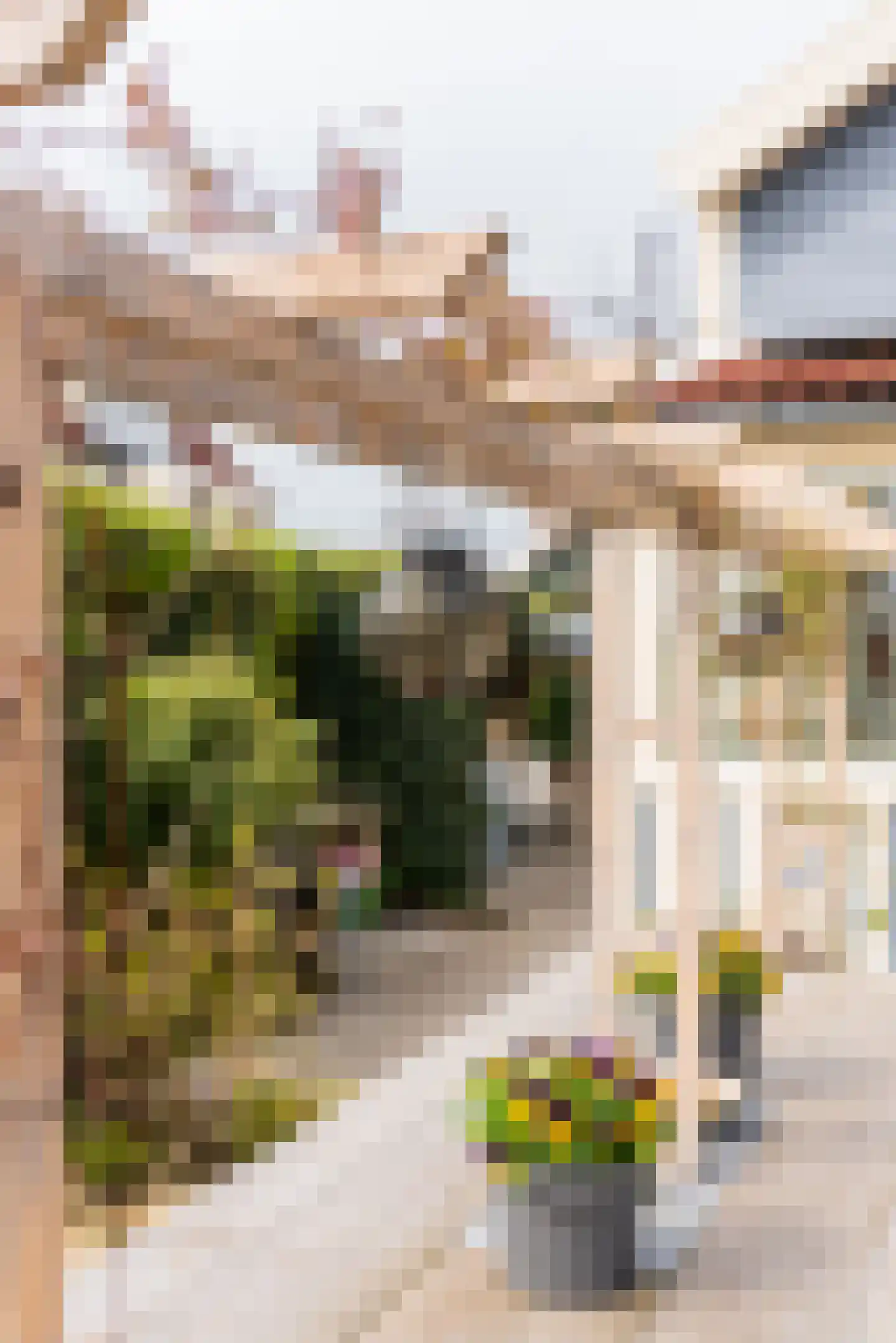 Wevelsweg 10 Simonshaven thumbnail 48