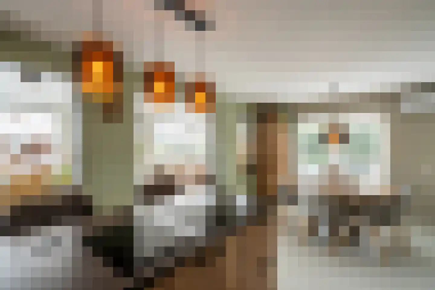 Wevelsweg 10 Simonshaven thumbnail 6