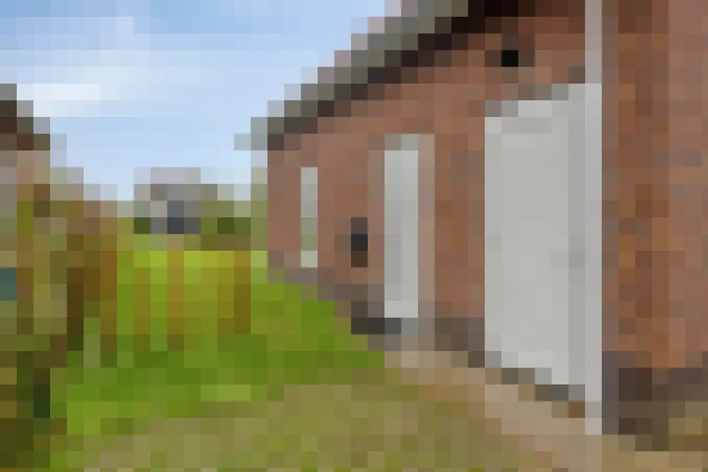 Wevelsweg 138 c Simonshaven thumbnail 8