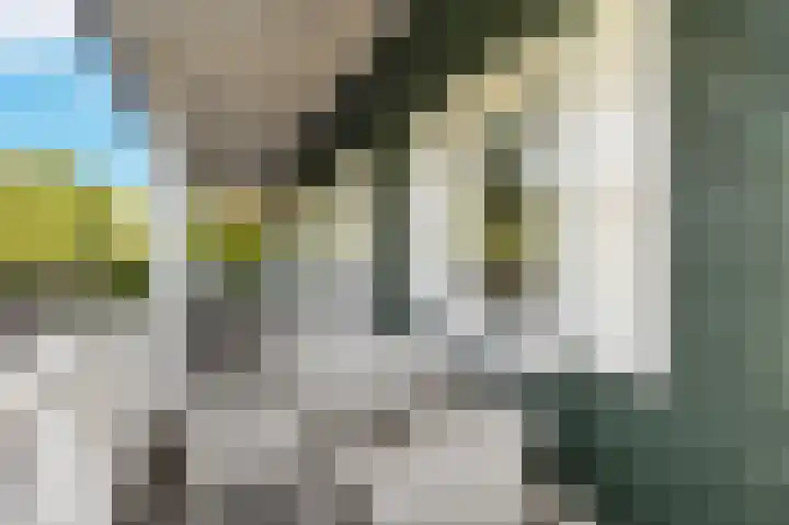 Wevelsweg 15 Simonshaven thumbnail 19
