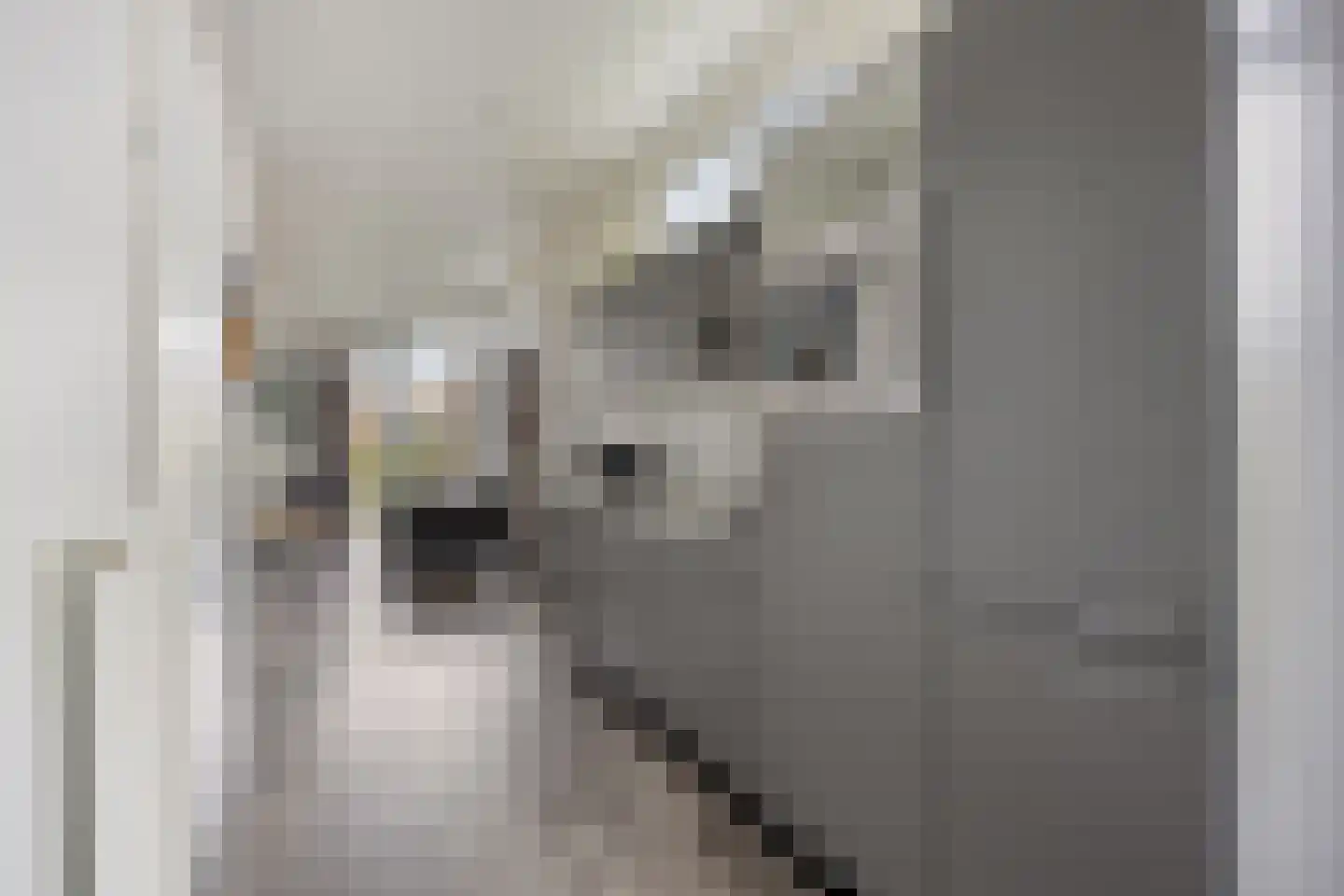Wevelsweg 15 Simonshaven thumbnail 22