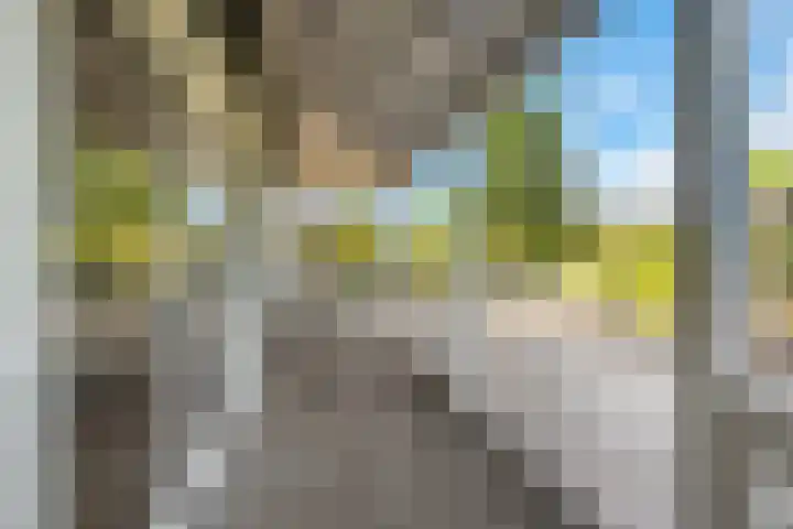 Wevelsweg 15 Simonshaven thumbnail 30