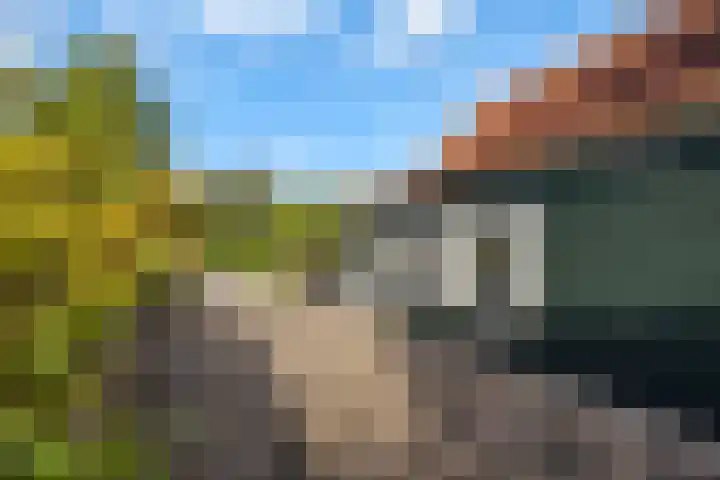 Wevelsweg 15 Simonshaven thumbnail 34