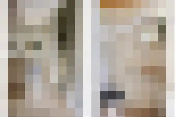 Wevelsweg 15 Simonshaven thumbnail 7