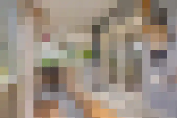 Wevelsweg 2 Simonshaven thumbnail 17