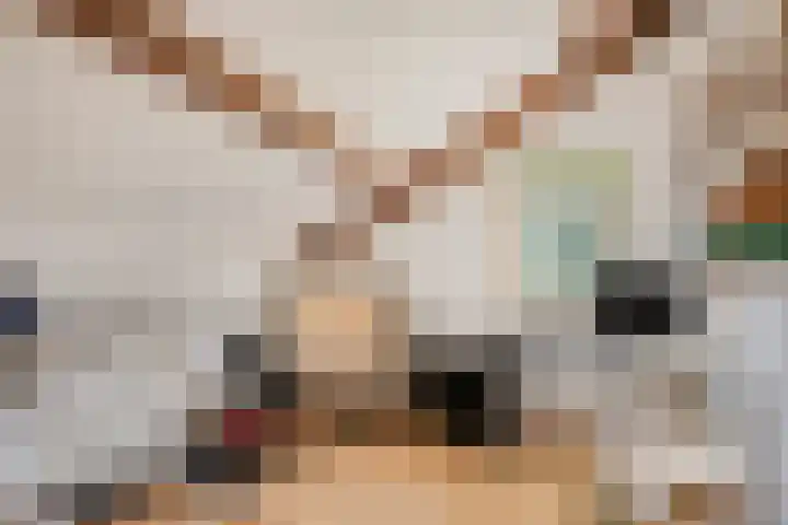 Wevelsweg 2 Simonshaven thumbnail 31