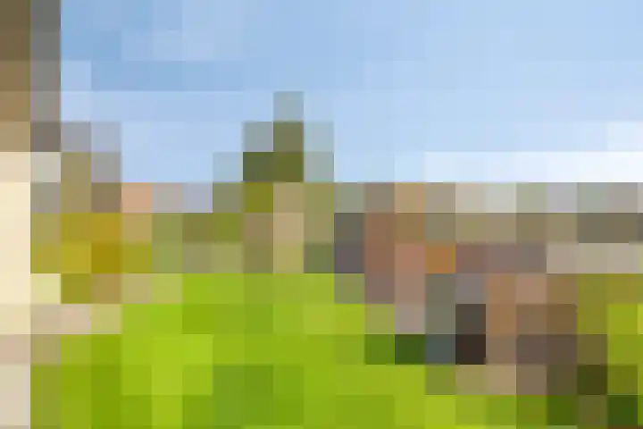 Wevelsweg 2 Simonshaven thumbnail 47