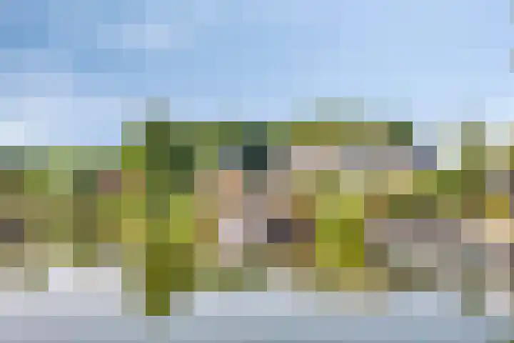Wevelsweg 2 Simonshaven thumbnail 50