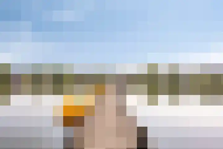 Wevelsweg 2 Simonshaven thumbnail 51