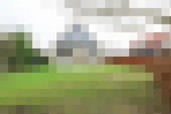 Wevelsweg 219 Simonshaven thumbnail 40