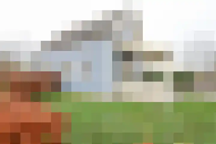 Wevelsweg 219 Simonshaven thumbnail 47