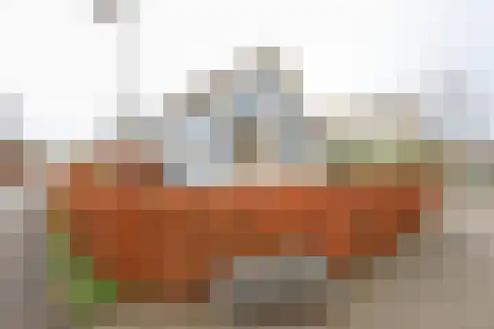 Wevelsweg 219 Simonshaven thumbnail 5