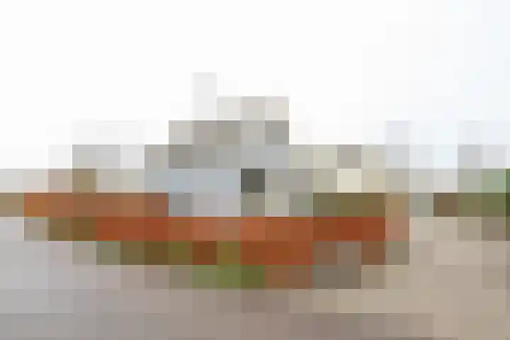 Wevelsweg 219 Simonshaven thumbnail 6