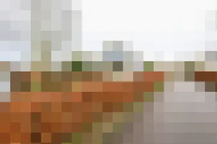 Wevelsweg 219 Simonshaven thumbnail 7