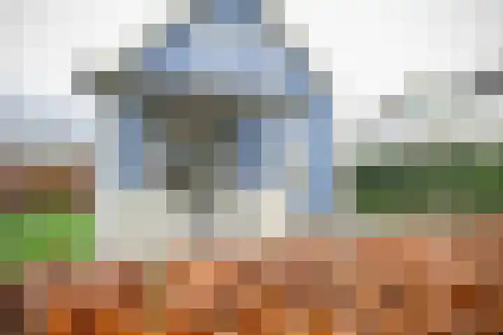 Wevelsweg 219 Simonshaven thumbnail 8