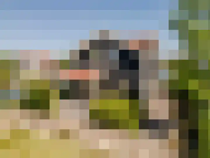Wevelsweg 235 Simonshaven thumbnail 4