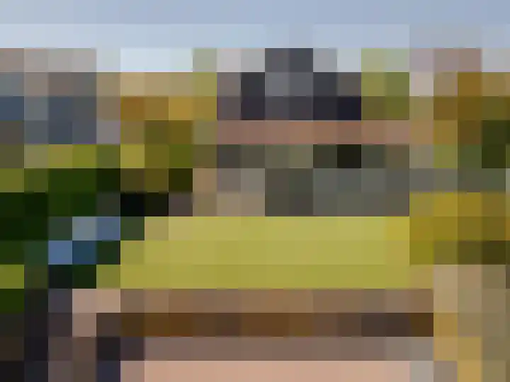Wevelsweg 235 Simonshaven thumbnail 43